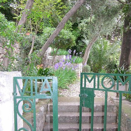 Villa Miomir Dubrovnik Bagian luar foto