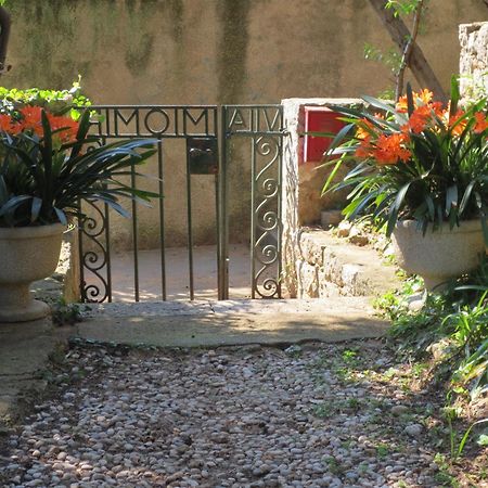 Villa Miomir Dubrovnik Ruang foto