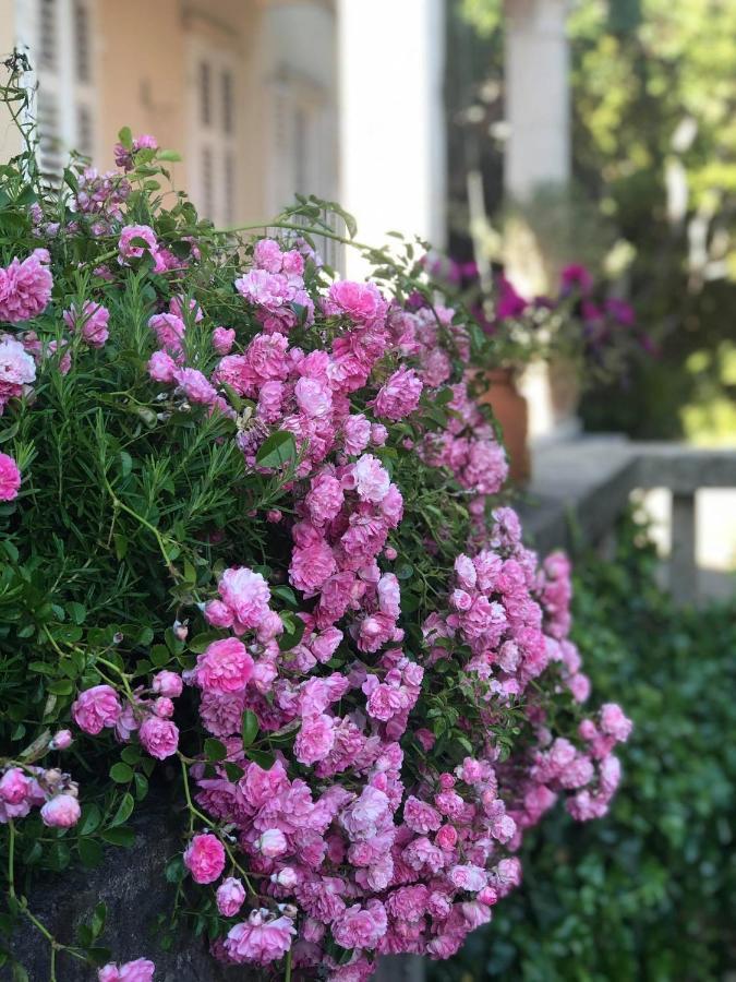 Villa Miomir Dubrovnik Bagian luar foto