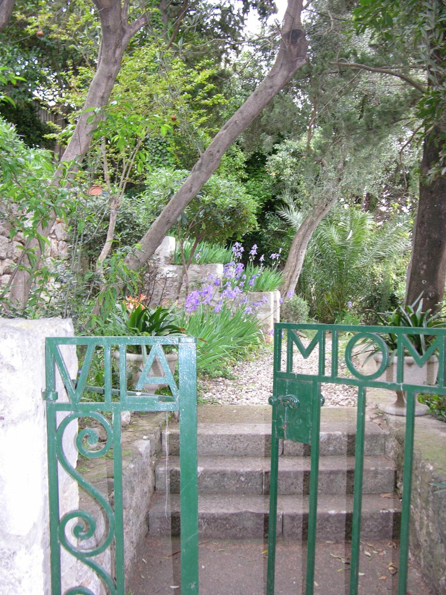 Villa Miomir Dubrovnik Bagian luar foto