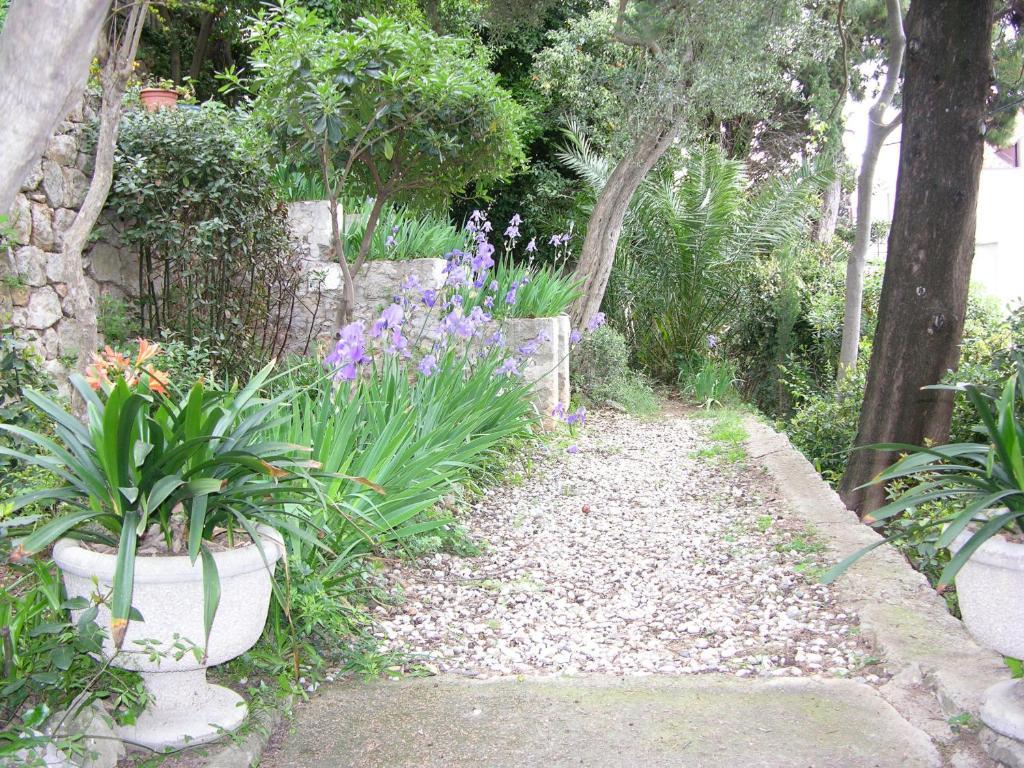 Villa Miomir Dubrovnik Bagian luar foto